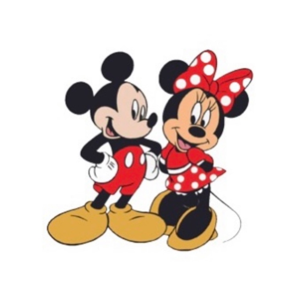 DISNEY MYSTERY BOX